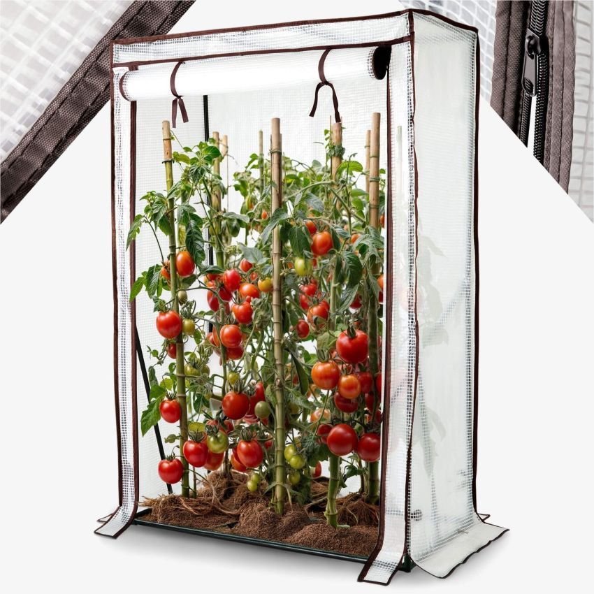Tomatengewächshaus 100 x 50 x 150 cm - Neu