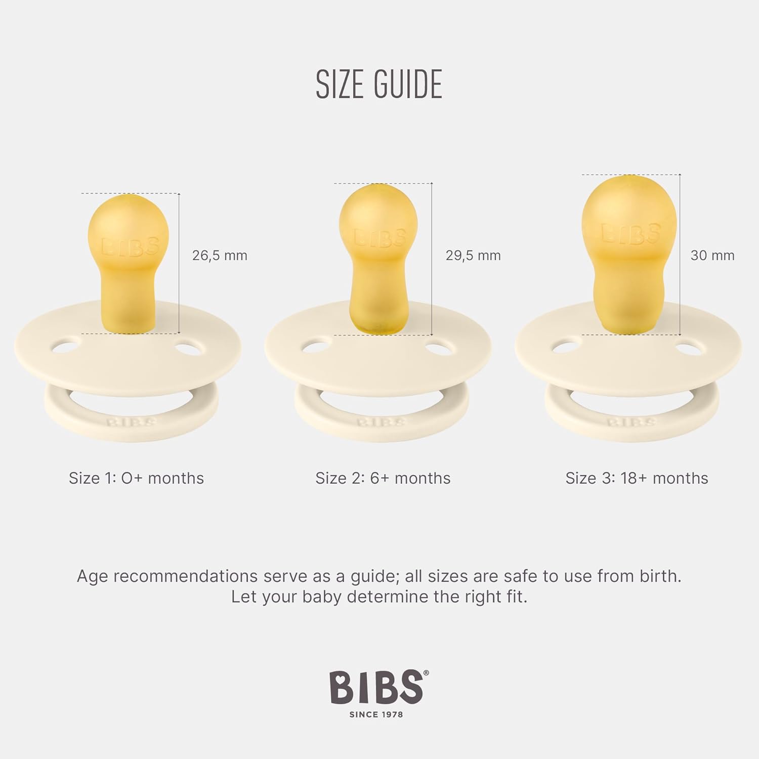 BIBS Colour Schnuller 2er-Pack, BPA-frei, Kirschform Nippel. Naturkautschuk/Latex, Größe 2 (6-18 Monate), Meadow/Earth